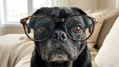 Problémem nejsou jen obrazovky: vědci objevili nečekanou příčinu rostoucí krátkozrakosti